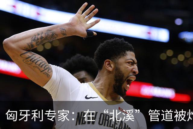 匈牙利专家：在“北溪”管道被炸毁后，德国对乌的支持是不正常的